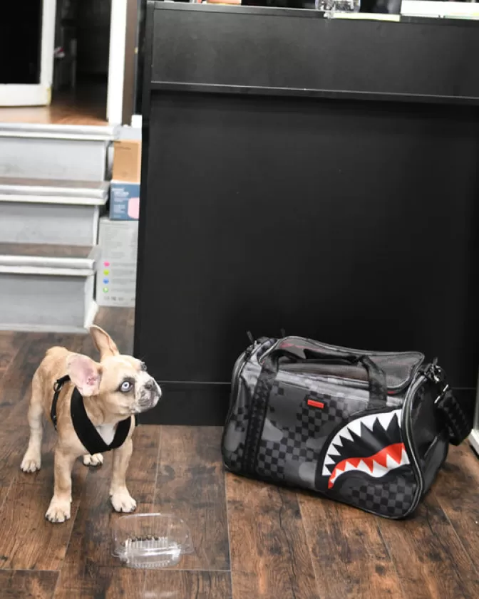Trasportino Sprayground 3AM per Animali Domestici - Soluzione Sicura e Confortevole per Viaggi e Spostamenti con i Tuoi Piccoli Compagni