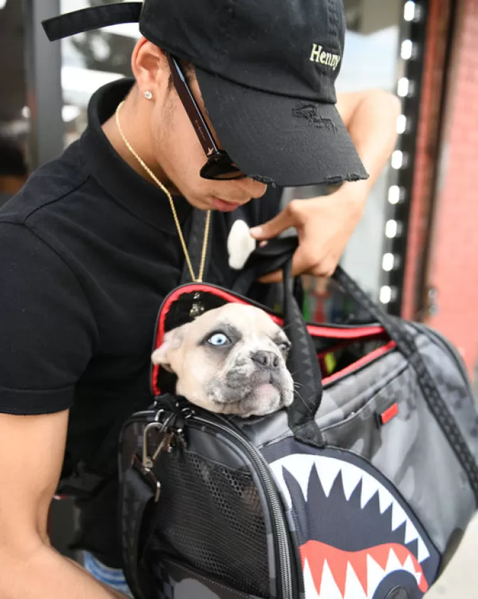 Trasportino Sprayground 3AM per Animali Domestici - Soluzione Sicura e Confortevole per Viaggi e Spostamenti con i Tuoi Piccoli Compagni