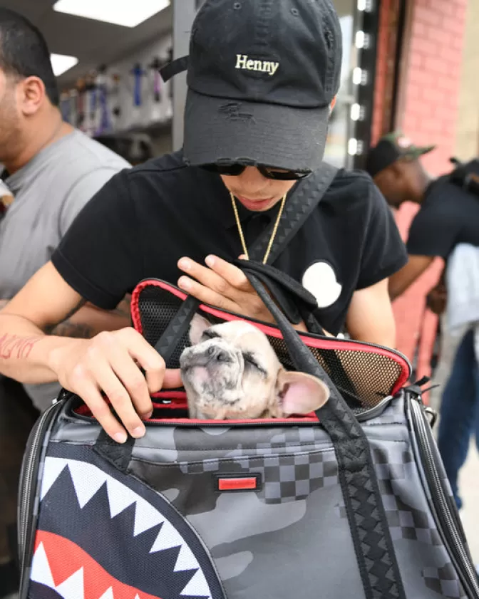 Trasportino Sprayground 3AM per Animali Domestici - Soluzione Sicura e Confortevole per Viaggi e Spostamenti con i Tuoi Piccoli Compagni