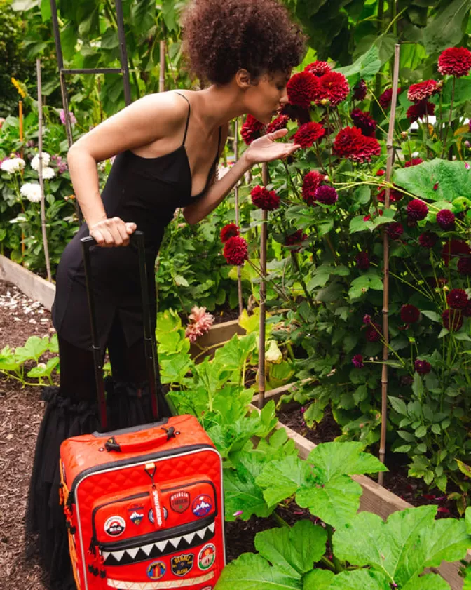 Valigia Cabina Compatta Sprayground - Design Avanguardista per Viaggi Globali | Saldi Esclusivi su Bagagli da Trasporto Premium